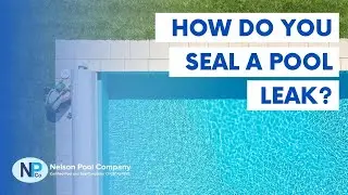 How Do You Seal a Pool Leak? | Nelson Pool Company
