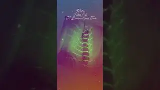 Judee Sill  - Till Dreams come True (with lyrics)