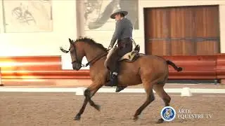 AAEE ITALIA - CAMPIONATO ITALIANO DOMA VAQUERA E COPPA ITALIA - 5&deg; TAPPA - LUCA COCOZZA