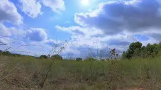 Una tormenta i un pensament.