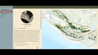 Portfolio | R-R Shiny Dashboard for Geospatial Analysis using Leaflet