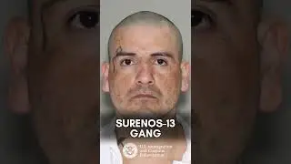 350+ illegal alien gang members arrested by #ICE in Texas