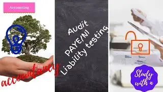 Audit: PAYE/NI Liability Testing