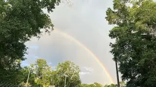 Rainbow 🌈 ☀️- The Dark / Patrick Warren