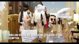 Travel Ban on Taliban Officials