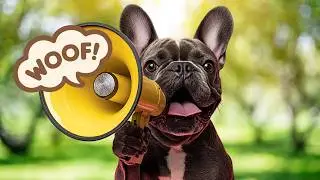 Dogs Barking Loud Compilation Funny Videos With Small And Big Dogs