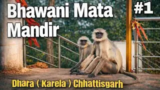 Bhawani Mata Mandir (Karela) | भवानी माता मंदिर (करेला)