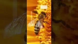 Lexica vs. Leonardo AI vs. Midjourney vs. Real Life