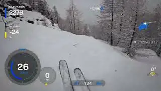 Come ski with me (If you don&rsquo;t ski good, you eat woods)