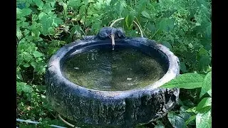 A Better Way to Keep Your Birdbath Full of Water