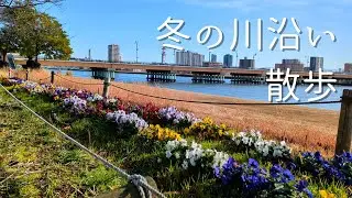 冬の川沿い散歩｜信濃川やすらぎてい