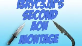 AoN Montage V2