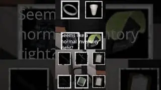 The Most Stacked Player In SCP Anomaly Breach 2