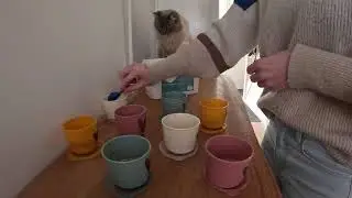 Poeders preppen voor Lara.