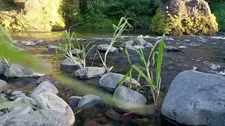 Soft Stream at Night – Healing Sound for Inner Peace