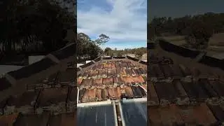 Replacing Ridge caps #roofing #construction #fyp