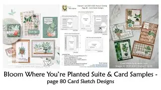Creating with Bloom Where You're Planted Suite & Card Samples - Pg 80 Card Sketch Designs (10 of 10)