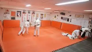 Ataque combinado Yokomen-uchi + Shuto-uchi