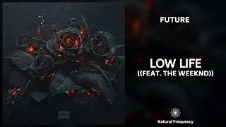 Future - Low Life  ft. The Weeknd (432Hz)