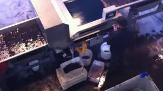 Wine Grape Sorting in Chile with WECO WineGrapeTek