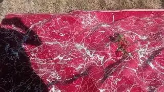 Kevin D BLANCH Tribute to the true GREAT AMERICAN Artist Jackson Pollock
