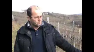 Copia di Renato Keber _Tegla_Collio_2013_01