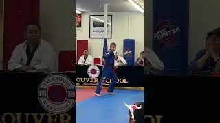 Brown belt testing