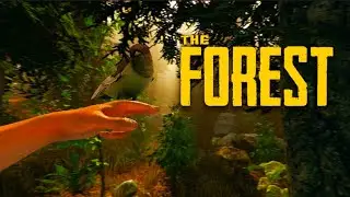 Fomos para o The Forest e caimos para ilha perigosa.