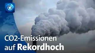 Weltweiter CO2-Aussto&szlig; erreicht H&ouml;chstwert