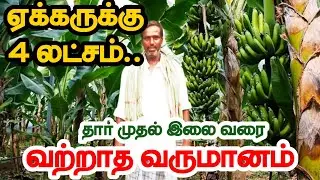 அட்டகாசமான லாபம் தரும் வாழை தார் : வாழை இலை விவசாயம் ! - Banana leaf Cultivation | Banana Farming