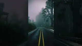 Trees silhouetted by heavy fog are👌