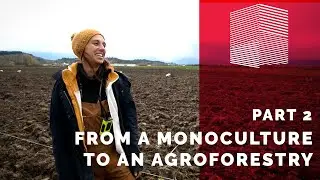 PART 2 Converting a Monoculture to an Agroforestry!