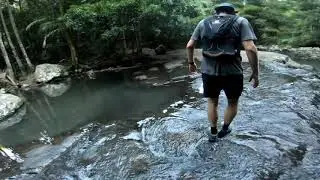 Running Trails around Gold Coast Hinterland - Springbrook National Park