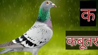 mithlesh la online preschool, #ka se kabutar,#hindi varnmala,#english ABCD,
