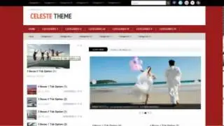 Celeste WP THEME - Premium WP Theme