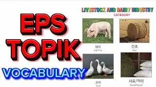 EPS TOPIK KOREAN VOCABULARY | Category: LIVESTOCK AND DAIRY INDUSTRY