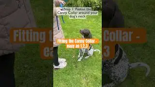 Looking for Canny Collar Fitting Instructions? We got you! 🐶 #dogtraining