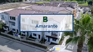 SOLD OUT: Amarante by Brandywine Homes