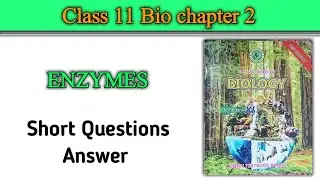 Short Questions Answer || Enzyme || chap-2 || SANdeep Edu Academy