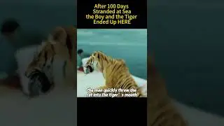 After 100 Days Stranded at Sea, the Boy and the Tiger Ended Up HERE #movie #film