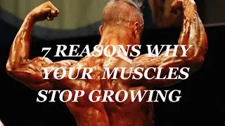 7 Reasons Why Your Muscles Stop Growing   How To Bodybuilding