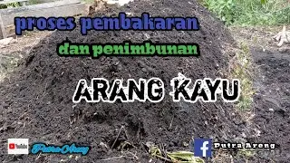 Proses pembakaran arang kayu dan penimbunan nya @putra areng