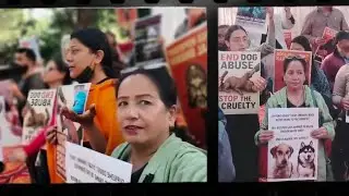 Street Dogs ke liye Jantar manter per Protest kiya !! We want Justice for Animals !! Save Stray Dogs