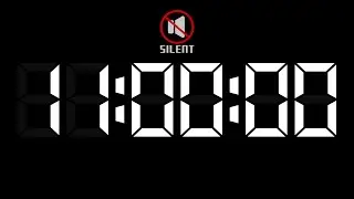 SILENT - 11 Hour Countdown Timer with Chapters - LCD Bold - White