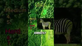 Guess The Hidden Animal By The Illusion