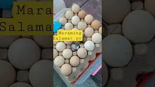 Giving Free Rice To Stranger #Short