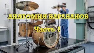 Анатомия барабанов. Часть 1. Что скрыто от глаз?