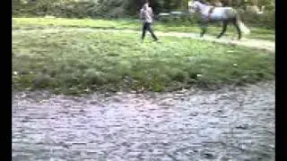 Lunging Jeffrey