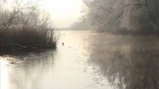 Zonnelied