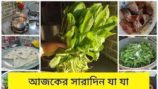 আজকে সারাদিনের ভ্লগ ভিডিও শেয়ার করে দিলাম। #kitchenwithsameen 